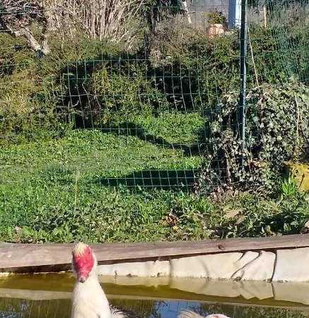 Cascina Knec * Feisoglio