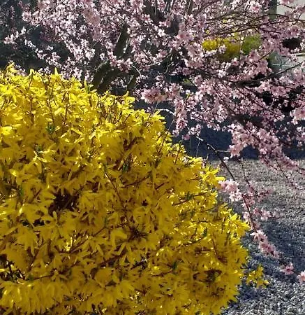 Cascina Knec Feisoglio