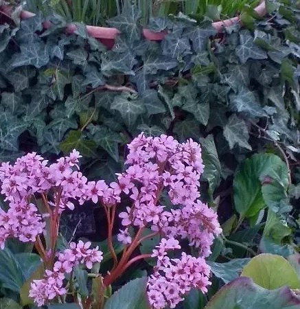 Cascina Knec Vakantieboerderij