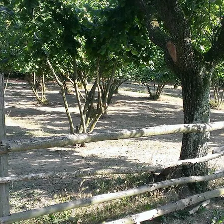 Farm stay Cascina Knec