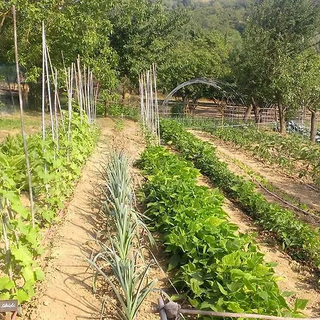 Cascina Knec Alloggio per agriturismo *
