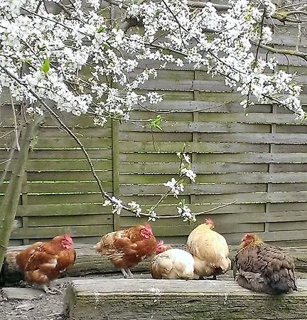 Farm stay Cascina Knec