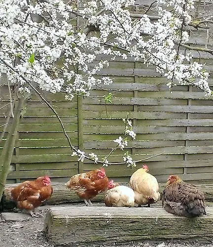 Gospodarstwo agroturystyczne Cascina Knec