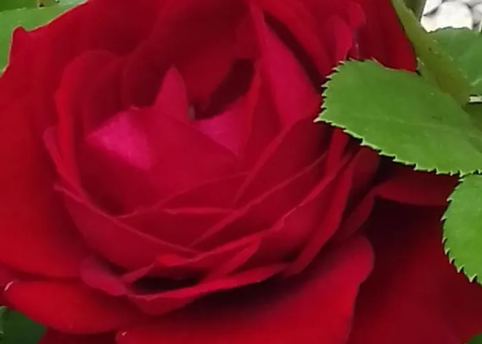 Cascina Knec Feisoglio